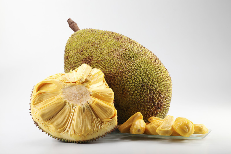jackfruit cos 39 e come viene usato in cucina