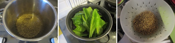 Lessate le lenticchie e gli spinaci separatamente. A cottura ultimata scolateli bene.