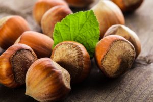 nocciole nocciole