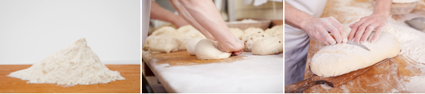 Una volta ottenuto un impasto omogeneo occorre lavorarlo per almeno 15-20 minuti. La lavorazione dell’impasto è una fase fondamentale della preparazione del pane, bisogna utilizzare il palmo delle mani in modo tale da incorporare quanta più aria è possibile e manipolare, comprimere e battere, distendendo e ripiegando più volte la pasta su se stessa.