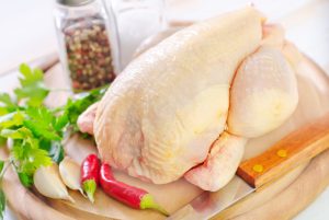 pollo pollo