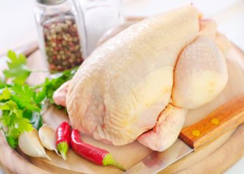 pollo
