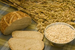 avena avena