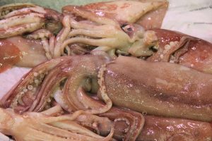 calamari calamari