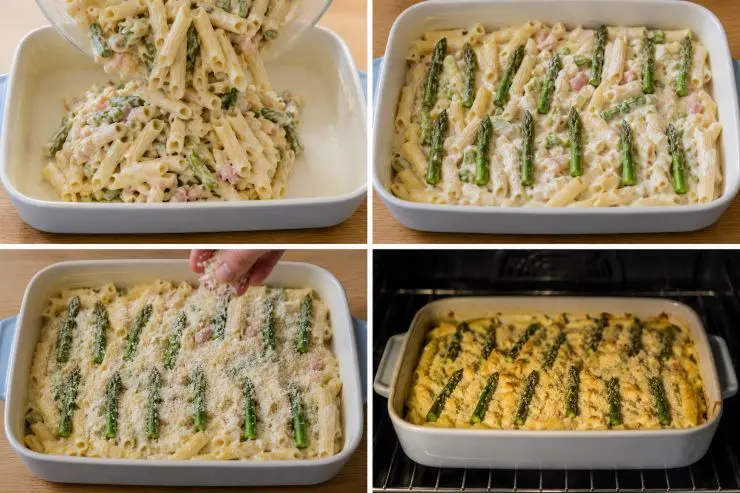Imburrate una teglia da forno e versate al suo interno il composto di pasta, besciamella, asparagi e prosciutto. Livellate bene e mettete le punte di asparagi tenute da parte sulla superficie. Spolverate con il formaggio grattugiato rimasto e infornate a 200 °C per 20 minuti circa. Una volta terminata la cottura, tirate la pasta fuori dal forno e lasciatela riposare dieci minuti prima di servirla.