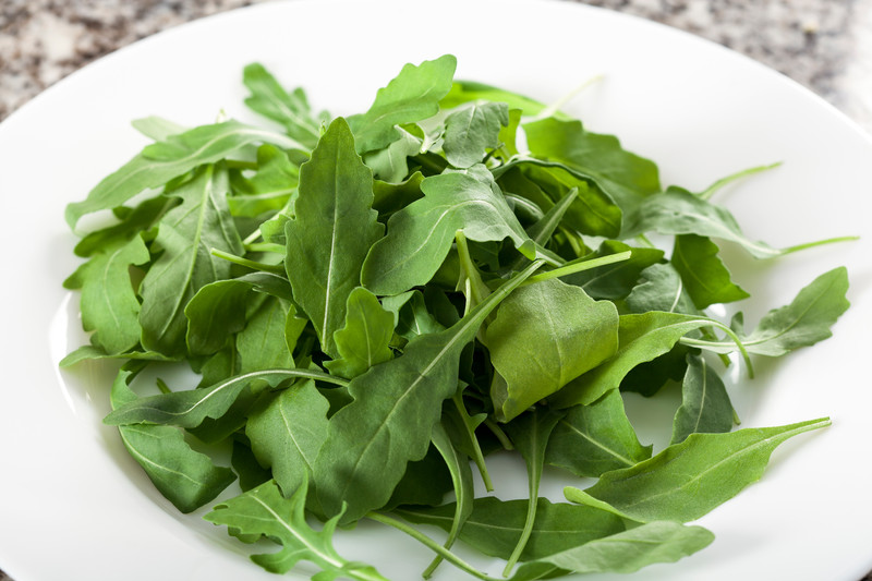 rucola