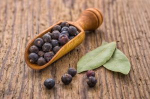 bacche di ginepro bacche di ginepro