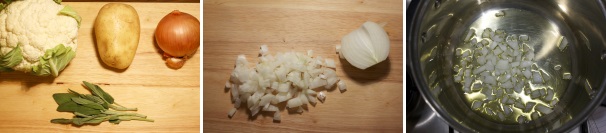 In una pentola mettete un filo d’olio extravergine di oliva, aggiungete la cipolla a cubetti e lasciatela cuocere per qualche minuto.