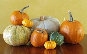 zucca zucca
