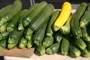 zucchine zucchine