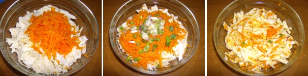 Pelate le carote, grattuggiatele ed unitele al cavolo insieme ai cipollotti tagliati a rondelle, quindi condite con sale, olio, qualche cucchiaio di aceto e amalgamate il tutto. Lasciate riposare circa 30 minuti.