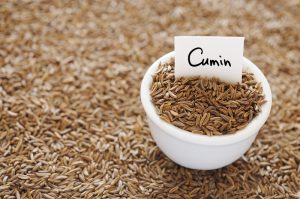 cumino cumino