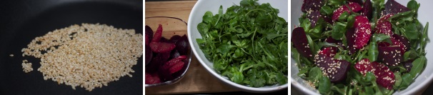 In una padellina tostate i semi di sesamo, componete quindi l’insalata unendo tutti gli ingredienti, condite con sale e olio a piacere.