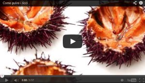 pulire ricci_video pulire ricci_video