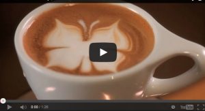 farfalla cappuccino farfalla cappuccino