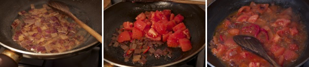 Quando la cipolla sarà ben rosolata e cotta, aggiungete i pomodori, con un po’ di peperoncino fresco, privato dai semi e tagliato a pezzettini, un po’ di paprica e un cucchiaino di concentrato di pomodoro; aggiustate di sale e fateli cucinare per qualche minuto, aiutandovi con l’acqua calda dove avete sbollentato i pomodori. Servite la salsa in una ciotola insieme ai nachos croccanti. Potete guarnire con un po’ di lime e del coriandolo.