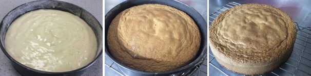 Versate il composto nella tortiera ed infornate per circa 40-50 minuti. La torta sarà pronta quando vedrete che si sarà staccata dai bordi della tortiera. Lasciatela raffreddare completamente estraendola dalla tortiera e disponendola su una griglia.