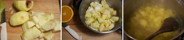 Pelate le mele e tagliatele a cubetti, mettetele a cuocere in una pentola insieme allo zucchero ed il succo d’arancia a fuoco molto basso, fatele sfaldare completamente. La salsa di mele durante la cottura non dovrebbe mai bollire, ma semplicemente sobbollire.