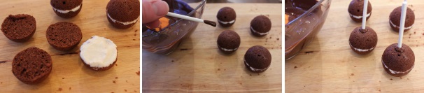 Quando le palline di torta saranno freddate dividetele a metà e farcitele con un sottile strato di ricotta dolce. Accoppiate quindi le metà ed immergendo uno stecco in un po’ del cioccolato fuso infilatelo nella pallina in modo che sia ben saldo. Una volta messo lo stecco in tutte le palline lasciatele riposare nel congelatore per almeno 10 minuti.