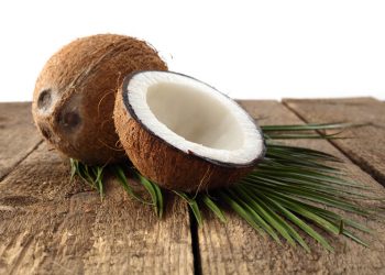 cocco