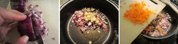 Tagliate finemente la cipolla e l’aglio. Soffriggeteli in una padella insieme ad un po’ di olio. Aggiungete la carota grattuggiata.
 