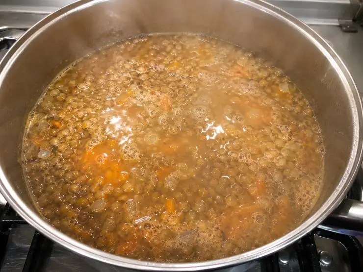 Sciacquate abbondantemente le lenticchie, mettetele in una pentola con abbondante acqua e cucinatele per circa 30 minuti. Lavate i broccoletti e tagliate finemente il cipollotto.