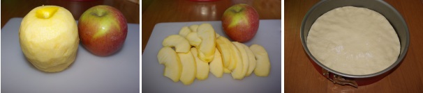 Sbucciate le mele, dividetele in due togliendo il centro e tagliate a fettine, quindi stendete la pasta in una teglia di almeno 24 cm.