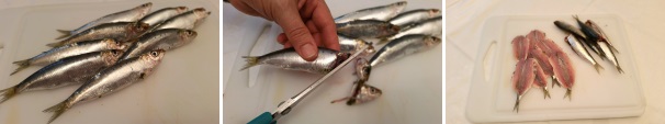 Prendete le sardine, iniziate a pulirle tagliando loro la testa con una forbice da cucina, evisceratele lasciando la coda, lavatele accuratamente cercando di eliminare tutte le viscere sotto l’acqua corrente e apritele a libro.