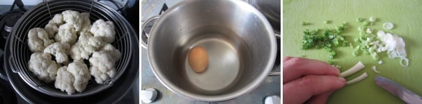 Lavate e dividete il cavolfiore. Mettetelo a cuocere al vapore in acqua leggermente salata per circa 15-20 minuti. Cuocete l’uovo sodo. Lavate i cipollotti, eliminate i primi due strati e l’estremità, dopodiché tagliatelo finemente.
