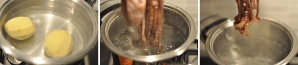 Mettete a bollire le patate in abbondante acqua salata per 25 minuti circa (dovete poterle trapassare con una forchetta). Nel frattempo mettete a bollire in un’altra pentola dell’acqua salata. Tuffate i tentacoli del polpo nell’acqua bollente per tre volte (per far arricciare i tentacoli) poi mettetelo a cuocere completamente per 45 minuti.
 