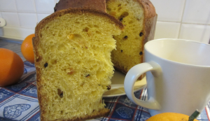 panettone tradizionale panettone tradizionale