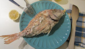 pagello fragolino al sale pagello fragolino al sale