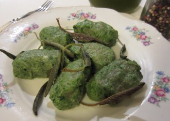 gnudi