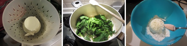 Scolate bene la ricotta. Lavate e tagliate finemente gli spinaci. Metteteli a cuocere in poco olio per circa 10 minuti. In una ciotola unite la ricotta con la farina e aggiungete il sale.
 