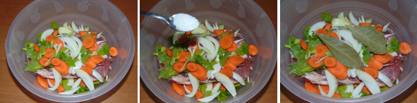 Ricoprite la carne con le restanti verdure e salate, quindi unite l’alloro.
