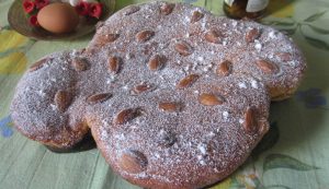 colomba di pasqua colomba di pasqua