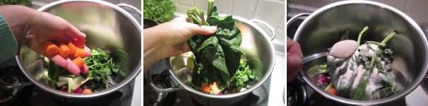 Lavate e sbucciate le carote. Tagliatele a pezzi grossi ed aggiungetele al resto. Lavate le foglie di spinaci ed aggiungetele alla verdura. Salate il tutto.
