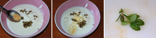 Unite ancora allo yogurt l’aglio liofilizzato ed iniziate a tritare i vari aromi partendo dalla menta fresca.