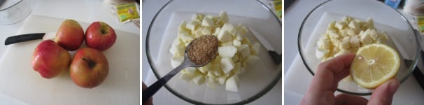 Per preparare la torta di mele e yogurt per prima cosa lavate e sbucciate le mele, togliete il torsolo e tagliatele a cubetti. Spolverate con lo zucchero e aggiungete il succo di limone. Mescolate e mettete da parte.
