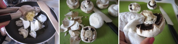 salsa di funghi champignon_proc1