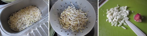 Mettete i germogli di soia in ammollo in acqua molto fredda per dieci minuti, dopodiché sciacquateli con cura, scolateli e asciugateli. Sbucciate la cipolla e tagliatela finemente. Sbucciate anche un spicchio d’aglio e spremetelo.