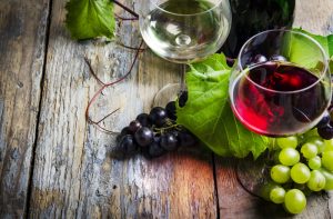 vino_ vino_
