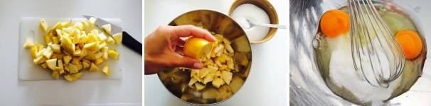 Lavate bene le mele. Sbucciatele e riducetele a quadratini (tenetevene una dose tagliate a fettine per la parte superiore della torta). Mettetele a riposare con il succo del limone e un cucchiaino di fruttosio. Nel frattempo lavorate le uova con il fruttosio fino a ottenere una pastella liscia e corposa.