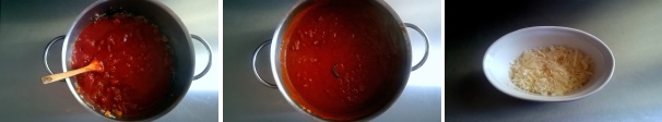 Quando la carne ha rosolato a sufficienza, aggiungete la passata di pomodoro, un pizzico di sale e portate a bollore. Coprite e cuocete a fuoco bassissimo per almeno un’ora, mescolando di tanto in tanto. Grattugiate il parmigiano reggiano.