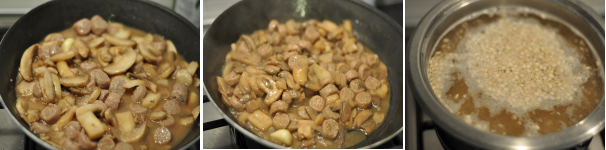 Aggiungete i funghi (già puliti e tagliati a listarelle) alla salsiccia e, dopo un paio di minuti, irrorate con il vino bianco. Lasciate cuocere con il coperchio per 10 minuti. Cuocete l’orzo nell’acqua ormai in ebollizione seguendo i tempi indicati sulla confezione (circa 10-12 minuti).
Togliete il coperchio ai funghi e fate asciugare l’intingolo. Deve comunque rimanere leggermente umido in modo da creare il condimento per l’orzo.