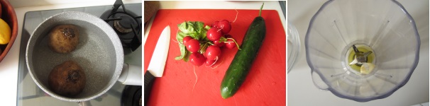 Mettete le barbabietole in acqua salata e portate a bollore. Abbassate la fiamma e cuocetele per circa 50 minuti. Devono essere sode. Scolatele e fatele raffreddare. Lavate il cetriolo e i ravanelli. Sbucciate il cetriolo e tagliatelo a cubetti. Eliminate le foglie dei ravanelli, sbucciate l’aglio e mettetelo in un frullatore.