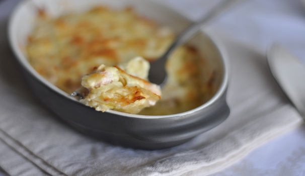 Ed ecco il gratin di salmone e porri appena uscito dal forno, ancora fumante