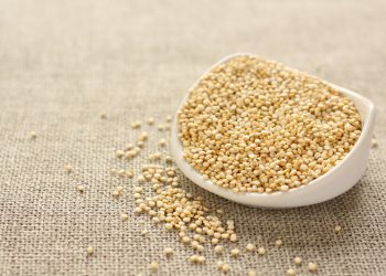 come cucinare la quinoa