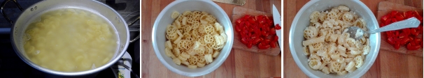 Come prima cosa cuocete la pasta in abbondante acqua salata. Scolatela al dente, trasferitela in una ciotola e conditela con l’olio d’oliva. Fatela raffreddare e aggiungete la ricotta.