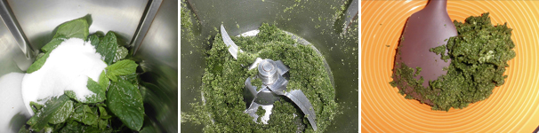 Lavate e asciugate le foglie di menta fresca, mettetele nel boccale insieme a 100 grammi di zucchero e tritate per 20 secondi velocità 8. Spatolate riportando tutto sul fondo e tritate di nuovo per 10 secondi a velocità 8, quindi mettete il composto da parte.